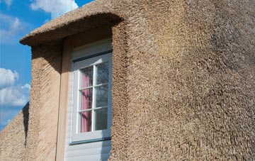 Stone Allerton thatch roof disadvantages